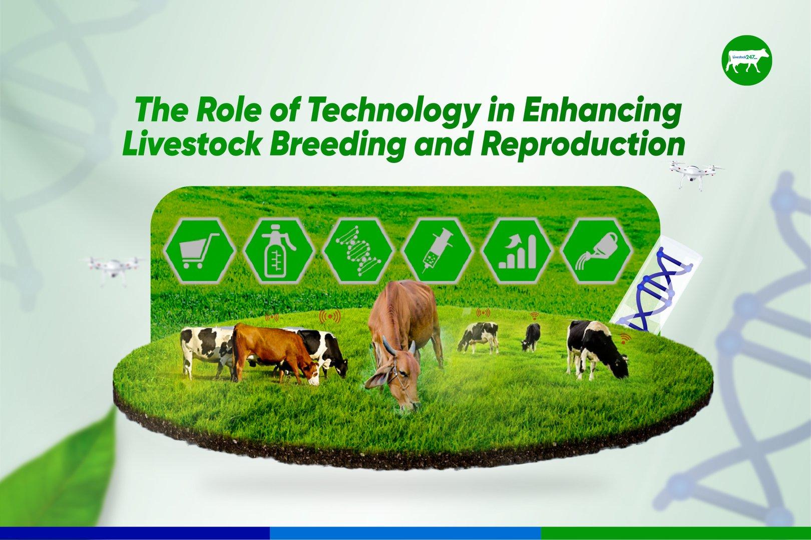 The Role of Technology in Enhancing Livestock Breeding and Reproduction - Cover Image